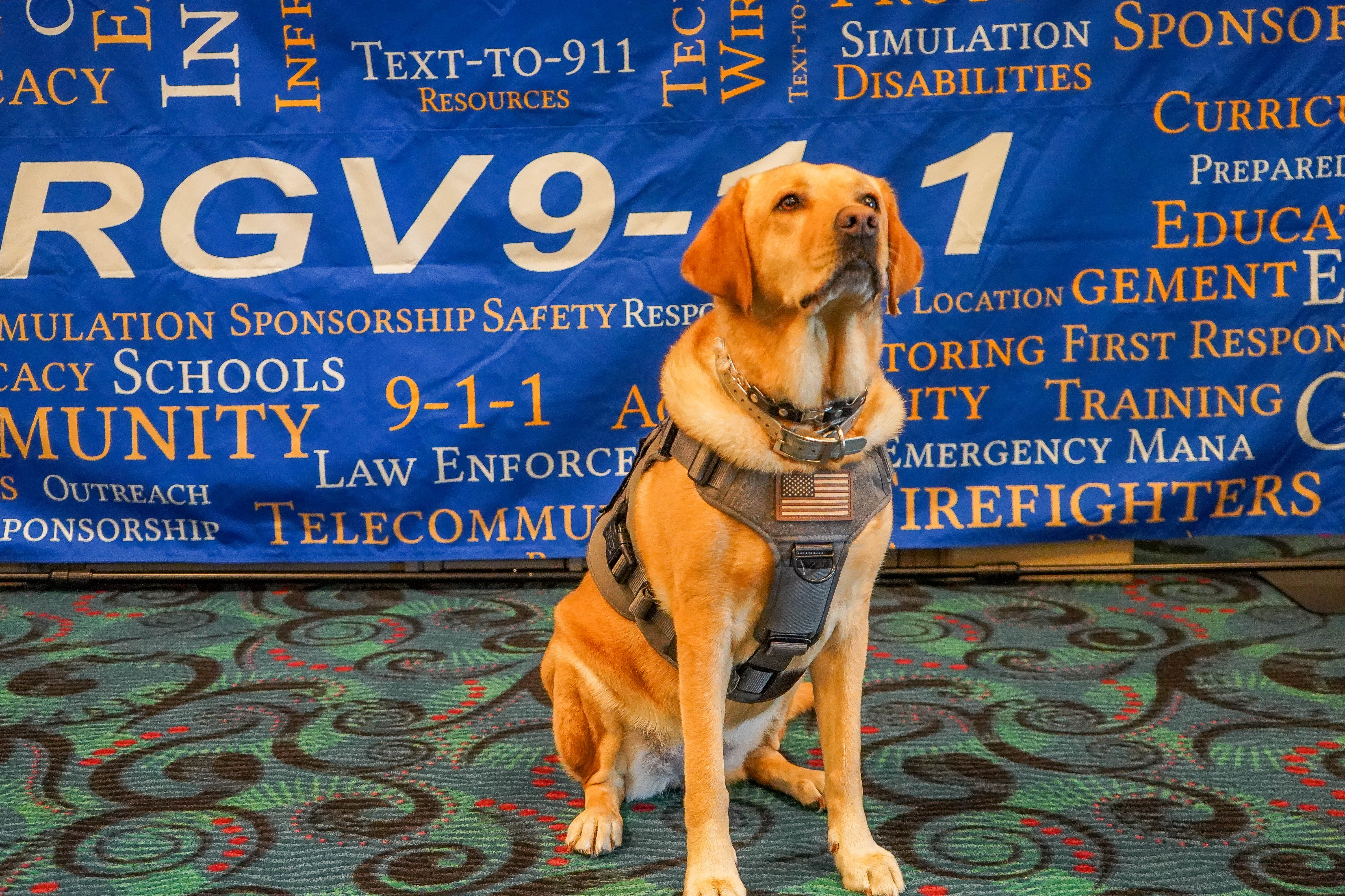 2025 Seminar highlight